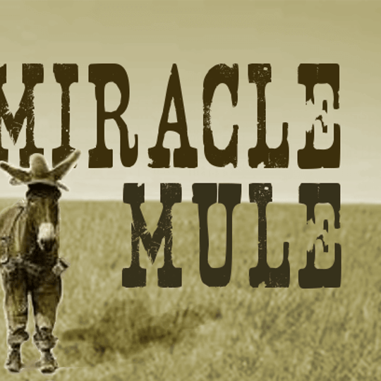 Miracle Mule - Americana Band in San Rafael, CA