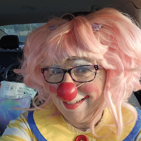 Tami - Clown / Circus and Acrobatic in Adrian, MI