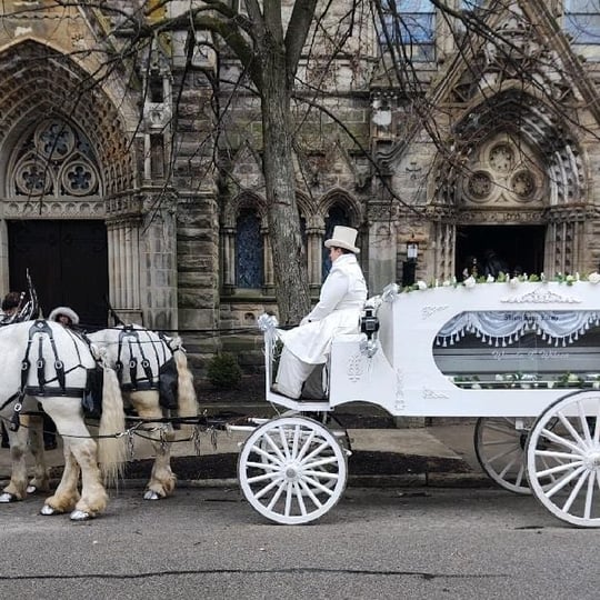 Misty Lane Farms Performance Horses - Horse Drawn Carriage in West Sunbury, PA