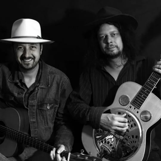 Josh & Martin & Company - Blues Band / Acoustic Band in Aiken, SC