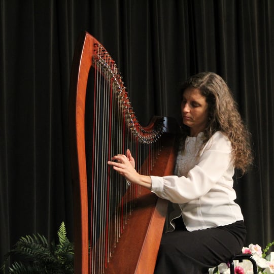Music for Elegance - Harpist in Palmetto, GA
