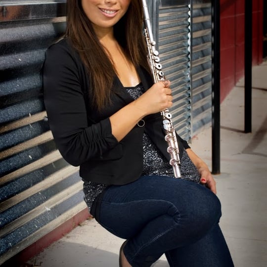 Music For Parties - Classical Ensemble / Classical Duo in Champaign, IL