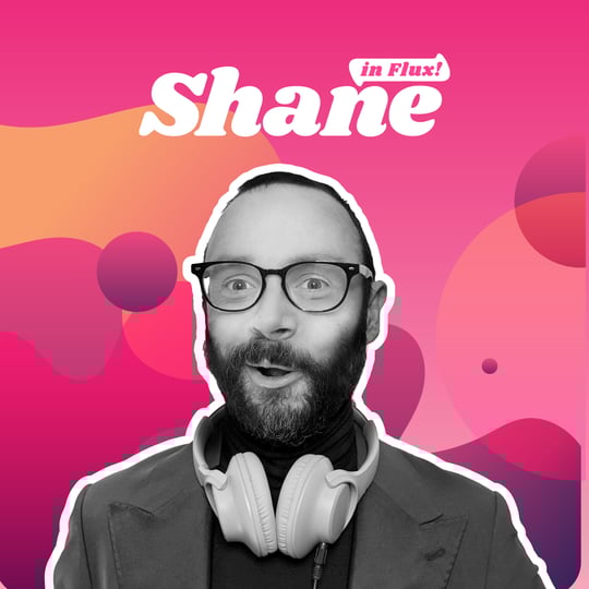 Shane in Flux - DJ / Event DJs in Madison, WI