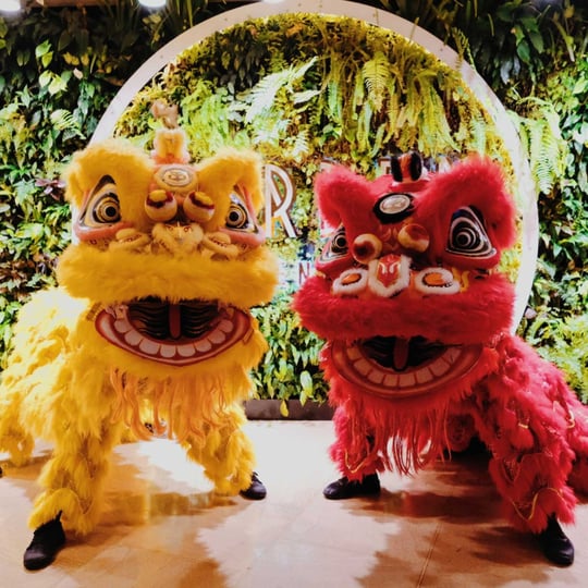 New York Lion Dance - Asian Entertainment / World and Cultural in New York City, NY