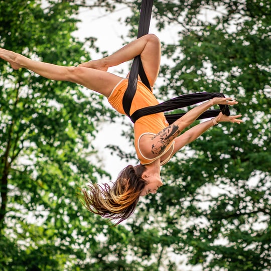 Nimble Kate - Aerialist / Circus and Acrobatic in Detroit, MI