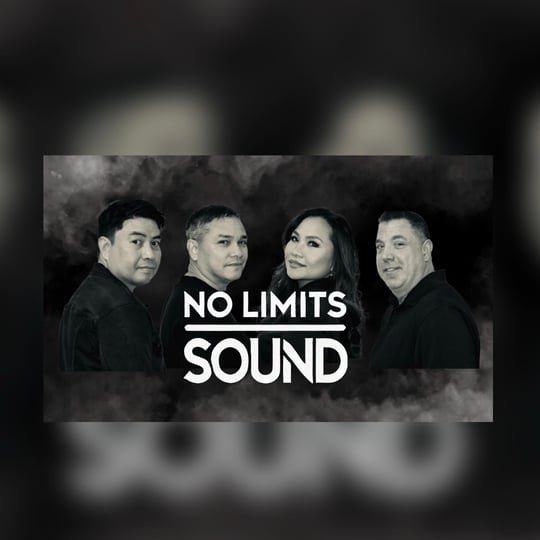 No Limits Sound - Cover Band / Corporate Event Entertainment in Streamwood, IL