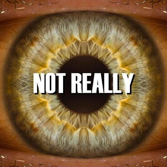 Not Really - Alternative Band in Ottawa, ON