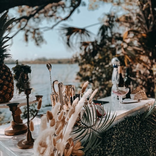 Oak & Iris Mobile - Bartender / Holiday Party Entertainment in Dunedin, FL