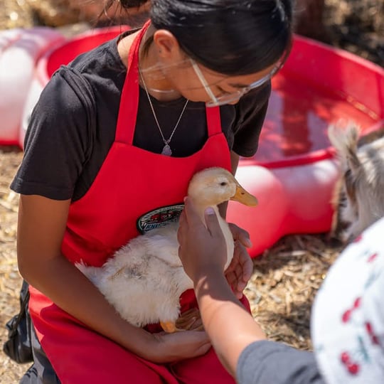 Oasis Family Ranch Petting Zoo - Petting Zoo in Knightsen, CA