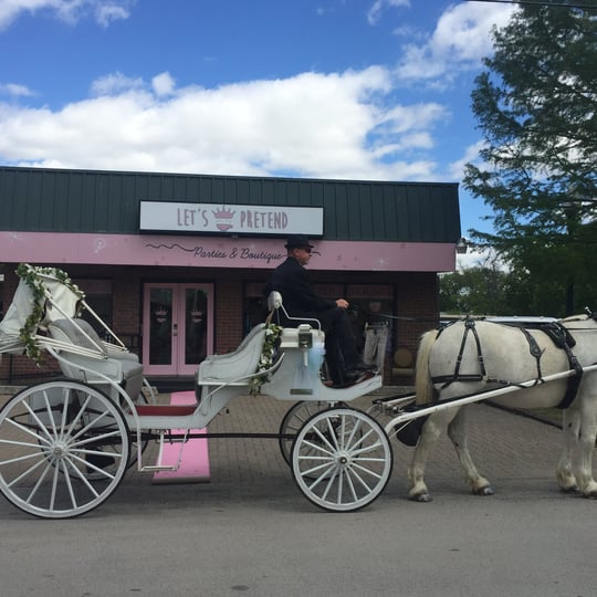 Olde Tyme Carriage Co. - Horse Drawn Carriage / Pony Party in Southlake, TX