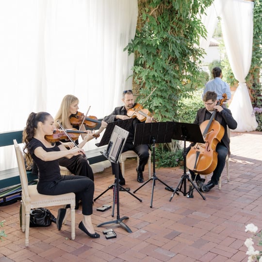 Organic String Quartet - String Quartet / Classical Music in Los Angeles, CA