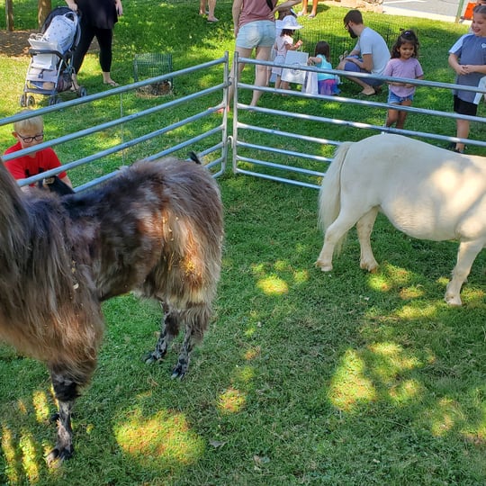 Party Animalz Farm - Petting Zoo in Brogue, PA