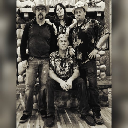 Perfect Chaos Party Band - Party Band / Cover Band in Idaho Falls, ID