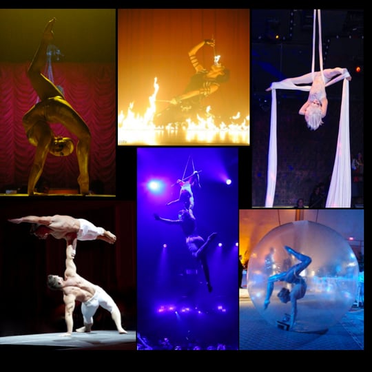 Phoenix Entertainment NYC - Circus Entertainment / Circus and Acrobatic in New York City, NY