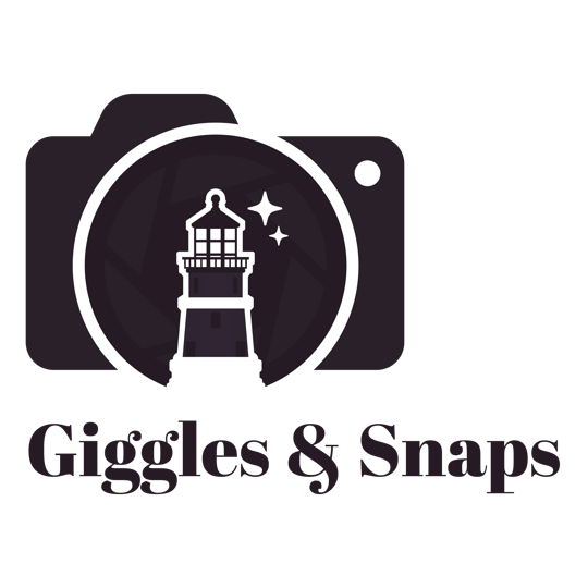 Photo Booth Rental and Services - Photo Booths / Family Entertainment in South Ozone Park, NY