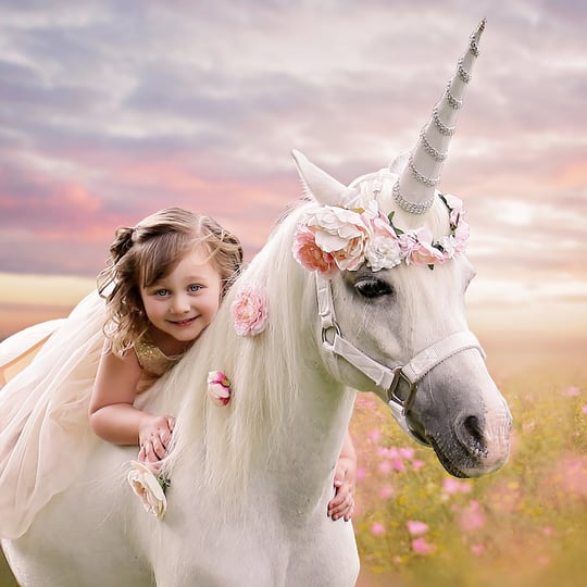 Pony Time Ranch & Petting Zoo - Pony Party / Petting Zoo in Lowellville, OH