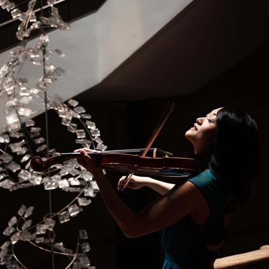 Precious Moment Violin Service - Violinist in Ottawa, ON