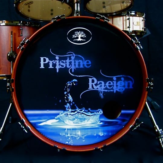 Pristine Raeign - Party Band in Wilmington, DE