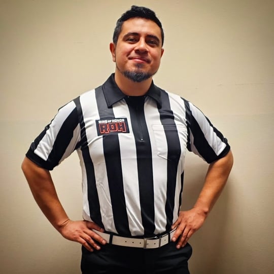 Pro Wrestling Ring - Party Rentals / Stunt Performer in North Hills, CA