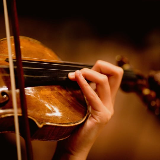 Professional Violinist Sila - Violinist in Austin, TX