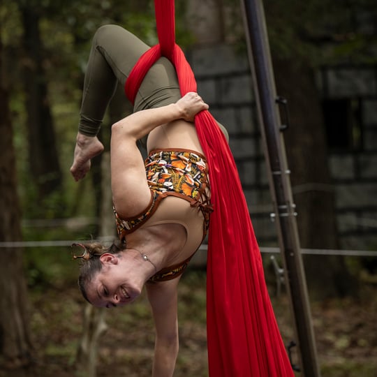 Tōpie Kazoo - Aerialist / Circus and Acrobatic in Wentzville, MO