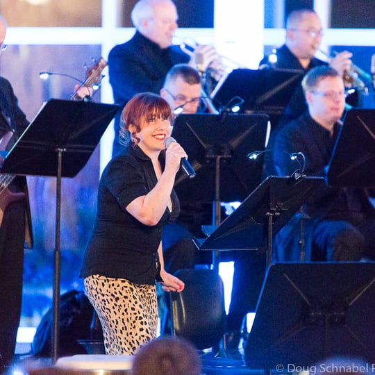 Red Rock Swing Band - Big Band / Swing Band in St Paul, MN