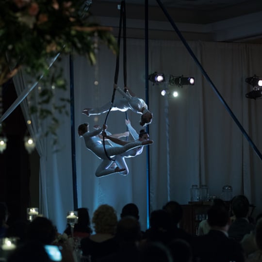 BSweet Entertainment - Aerialist / Belly Dancer in Jacksonville, FL
