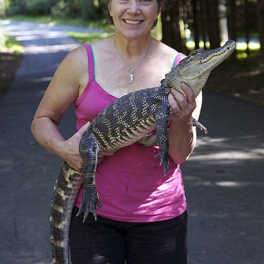 Rhonda's Reptiles - Party Rentals / Reptile Show in New Lebanon, NY