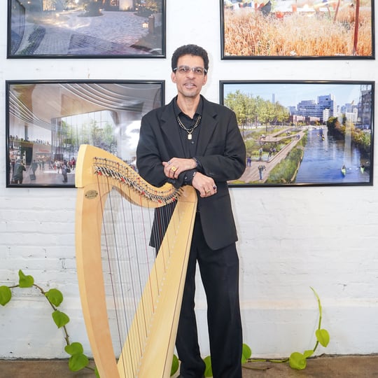 Robert Turner: Harpist for Weddings, Holidays, Ceremonies, Orchestra - Harpist in Chicago, IL