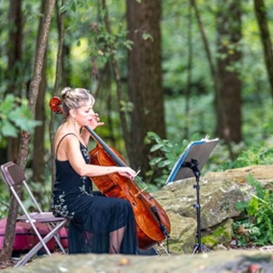 Robin Treybig, Performing Artist - Cellist / Wedding Musicians in Nashville, TN