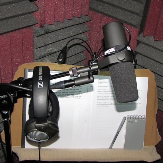 Rodney's Voice - Voice Actor / Actors and Actresses in Beaverton, OR