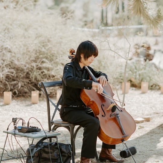 Romantic Cello - Cellist / Classical Pianist in Fremont, CA