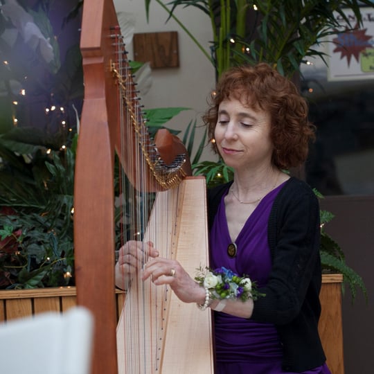 Sabrina Sigal Falls - Harpist in Indianapolis, IN