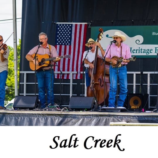 Salt Creek - Bluegrass Band in Fort Worth, TX