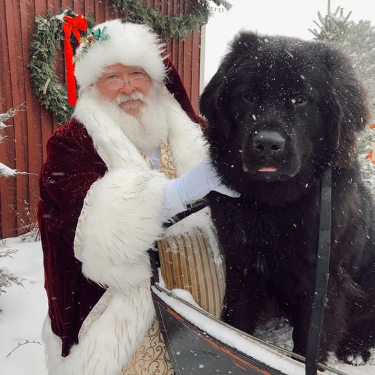 Santa Gary - Santa Claus in Inver Grove Heights, MN