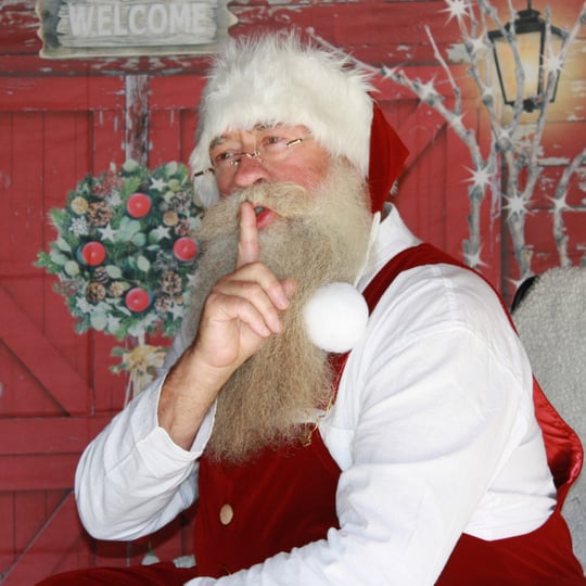 Jolly Santa Mike & Mrs. Misty Claus - Santa Claus in Lexington, KY