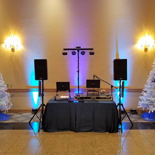 Schiller Chicago Weddings & Event DJS - Mobile DJ / Event DJs in Arlington Heights, IL