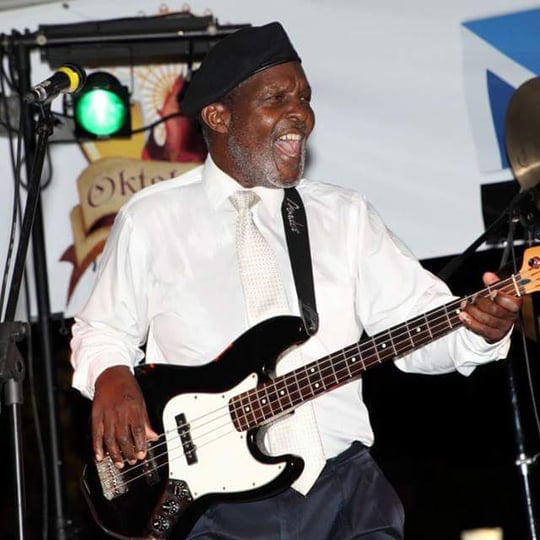 Scotty and the Soultones - Blues Band in Denver, CO
