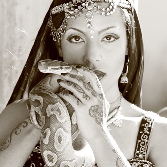 Sevdha Belly Dance and Bollywood - Bollywood Dancer / Caribbean/Island Music in Orlando, FL