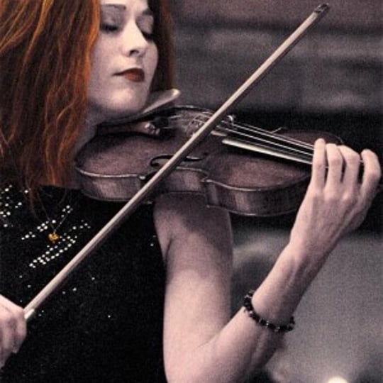 Shawn Vougeot - Violinist / Wedding Musicians in Stillwater, MN