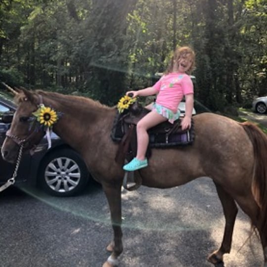 Sheffield Way Farm LLC - Pony Party in Exeter, RI