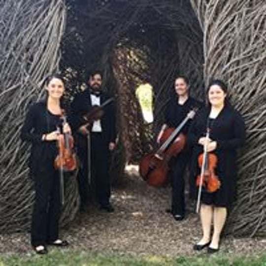 Silver Strings Quartet - String Quartet in South Bend, IN