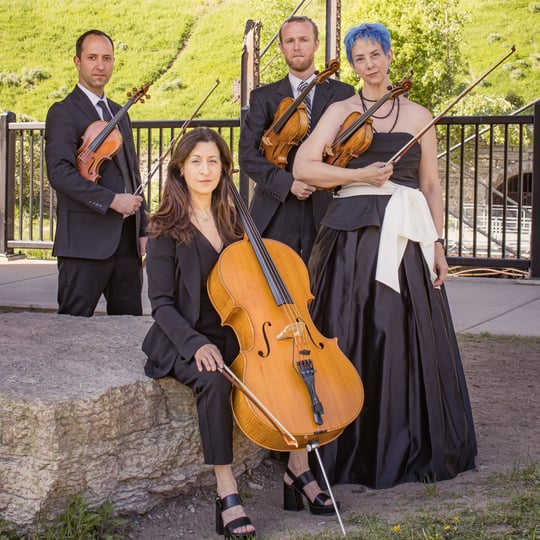 Sonorous Strings - String Quartet in Minneapolis, MN
