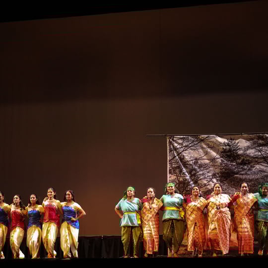 Soorya Dance Company - Indian Entertainment in Ballwin, MO