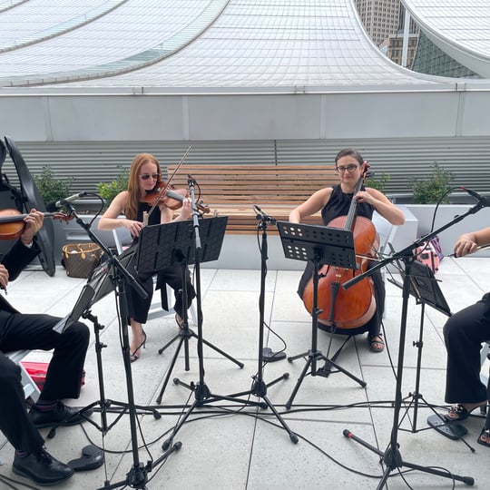 Arev Music Entertainment - Classical Ensemble / String Quartet in Wexford, PA