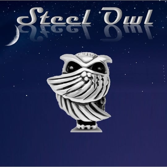 Steel Owl - Party Band in Fishkill, NY
