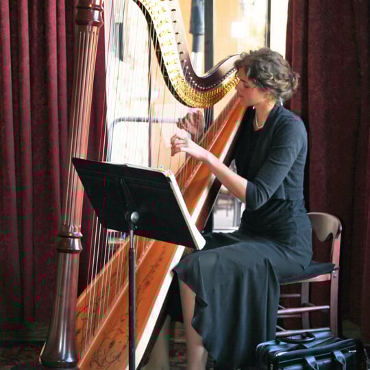 Stephanie Claussen, harpist - Harpist in St Paul, MN
