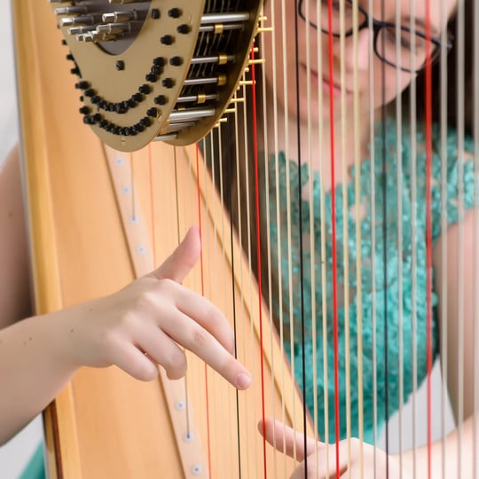 Strummed Strings Harp - Harpist in Centerville, UT