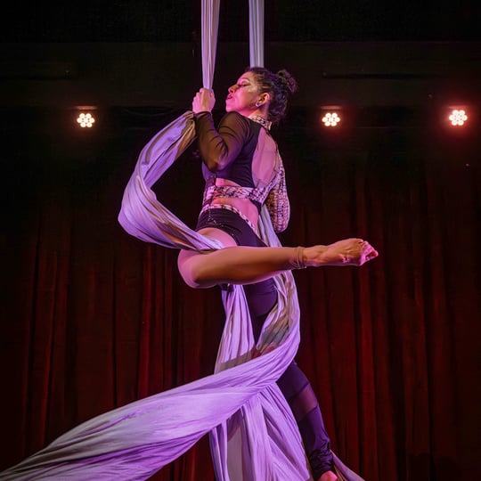 Hidden Gem - Circus Entertainment / Circus and Acrobatic in Seattle, WA