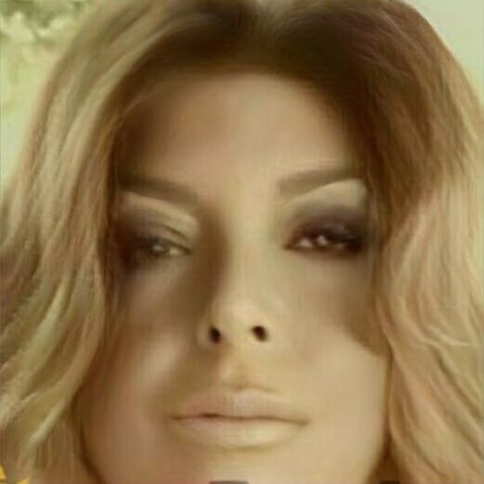 Susan Rogan Cosmetics - Makeup Artist in Oak Lawn, IL